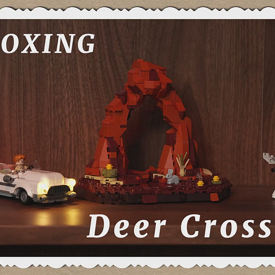 Unboxing und Detailansicht des Funwhole Deer Crossing F9053 Klemmbausteine-Sets mit Beleuchtung.