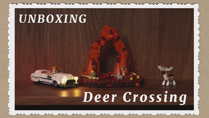 Unboxing und Detailansicht des Funwhole Deer Crossing F9053 Klemmbausteine-Sets mit Beleuchtung.